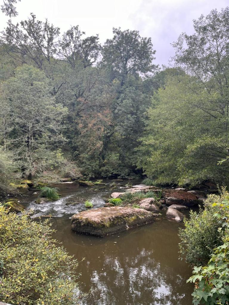 Gite Les Pieds Dans L'Eau 10 Min Du Puy Du Fo Treize-Vents 外观 照片